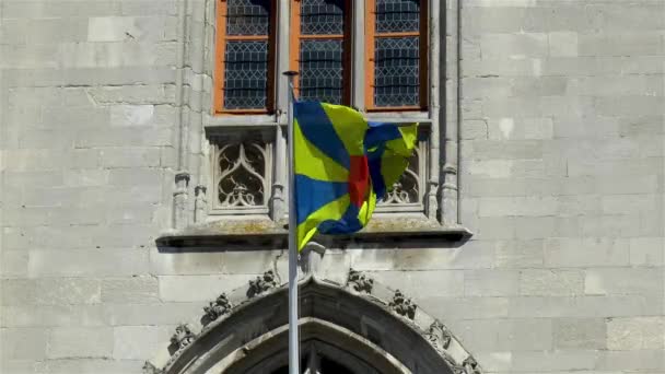 Прапор Фландрії Розмахуючи Будівлі Провінційного Суду Брюгге Бельгія — стокове відео