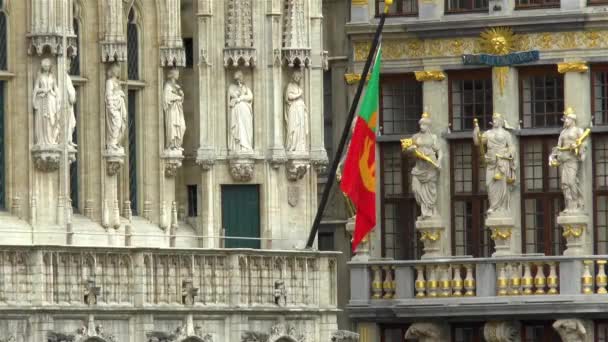 Прапор Брюсселя Будівлі Міської Ради Брюсселя Гранд Плейс Бельгія — стокове відео
