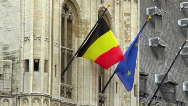 Bandiere Del Belgio Dell Europa Nell Edificio Del Municipio Bruxelles — Video Stock