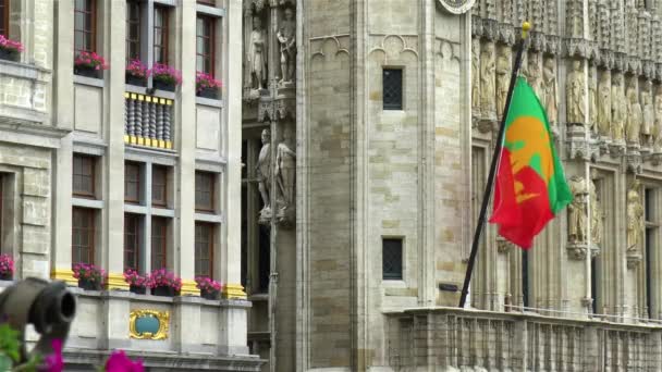 Flaga Miasta Bruksela Przy Budynku Ratusza Brukseli Grand Place Belgia — Wideo stockowe