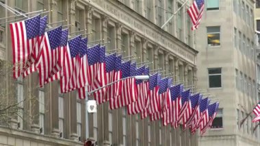 Hafif rüzgarda dalgalanan Amerikan bayrakları.