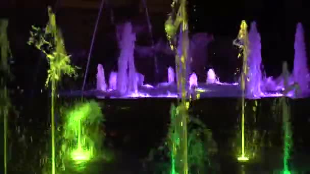 Kolorowe Wody Taneczne Fontanna Wodna Show Nocy — Wideo stockowe