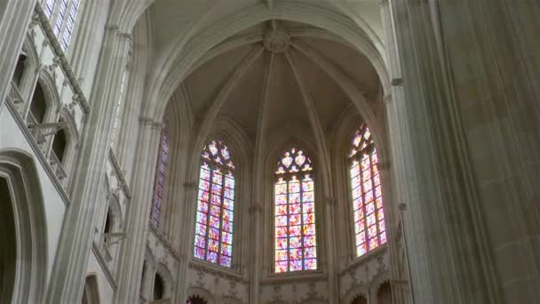 Peter Paul Cathedral Cathedrale Saint Pierre Saint Paul Nantes France — Stock video