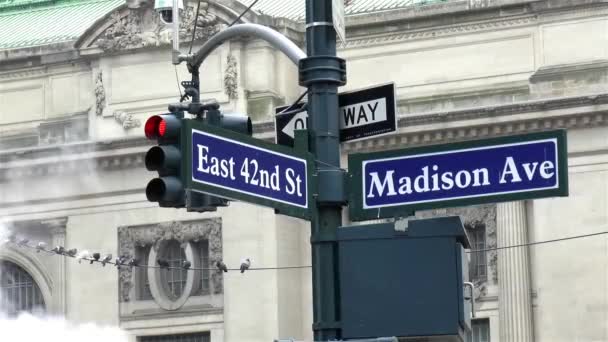 Detailed View Street Name Sign Manhattan New York — Vídeos de Stock