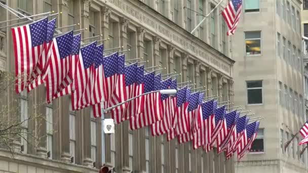 Amerikai Zászlók Sora Lobogott Könnyű Szélben — Stock videók