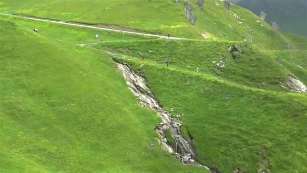 Cable Car Climb Grindelwald Mount First Switzerland People Walk Alps — Stock Video
