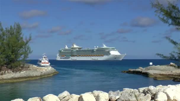 Freedom Seas Cruise Ship Przetarg Sprowadza Pasażerów Powrotem Statek Wycieczkowy — Wideo stockowe