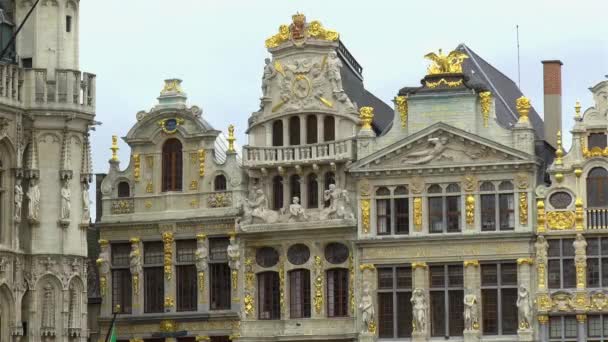 Αρχιτεκτονικές Λεπτομέρειες Στο Grand Place Market Square Των Βρυξελλών Βέλγιο — Αρχείο Βίντεο