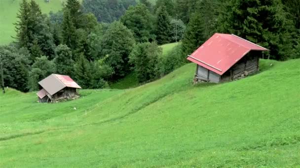 Casas Isoladas Nas Encostas Dos Alpes Suíços Grindelwald Primeiro — Vídeo de Stock