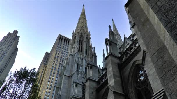 Vista Ángulo Bajo Catedral San Patricio Rodeada Otros Edificios Manhattan — Vídeo de stock