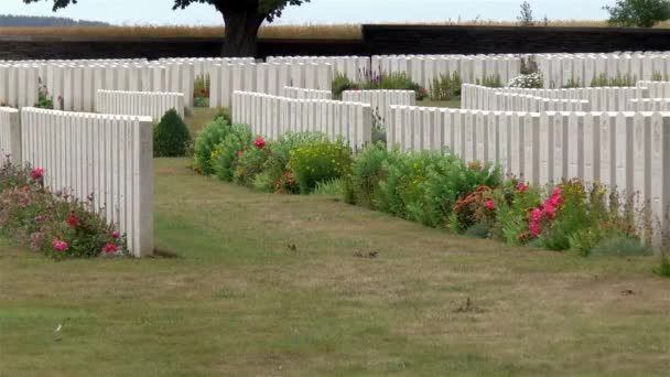 Begraafplaats Bij Het Canadian National Vimy Memorial Eerste Wereldoorlog Memorial — Stockvideo