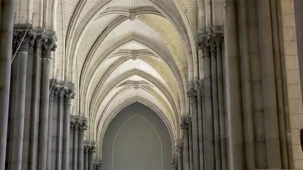 Gothic Revival Architecture Elements Notre Dame Treille Cathedral Lille France — стокове відео