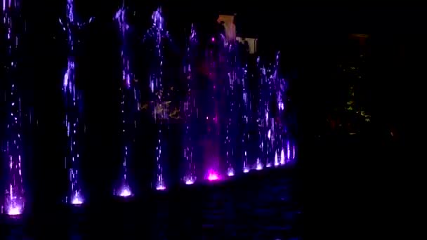 Parque Fonte Multimídia Luz Noturna Show Água — Vídeo de Stock