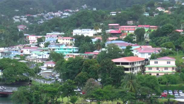 Huizen Lokaal Verkeer Castries Het Caribische Eiland Lucia — Stockvideo