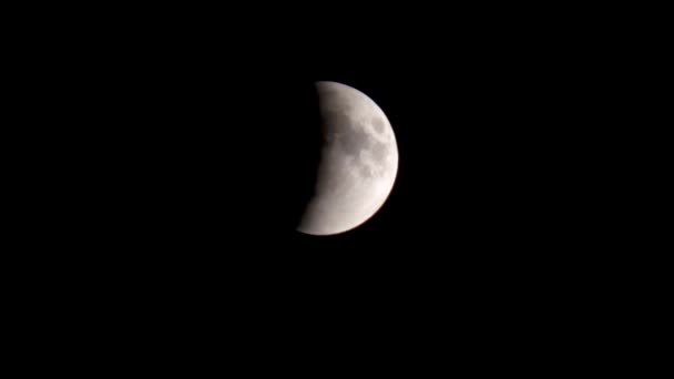 Місячне Затемнення Місяць Рухається Тінь Землі Місяць Рухається Реальному Часі — стокове відео