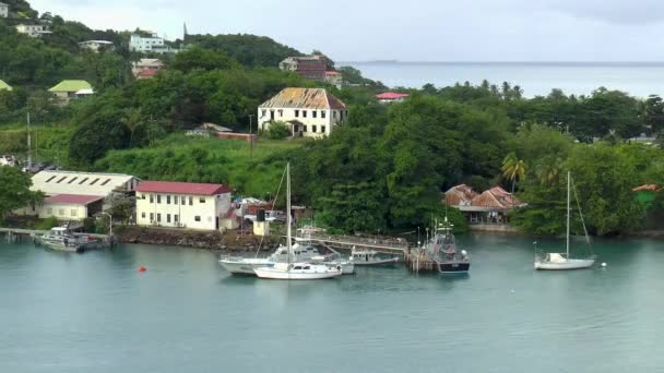 Marina Barcos Casas Ilha Caribenha Santa Lúcia — Vídeo de Stock