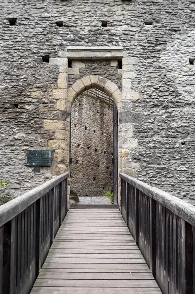 Porta do castelo . — Fotografia de Stock