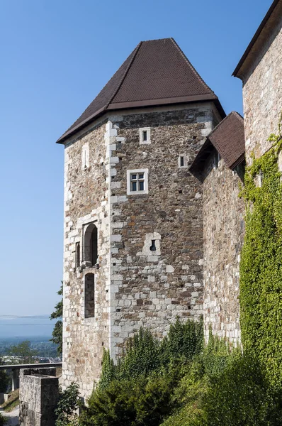 Ljubljana-kasteel. — Stockfoto