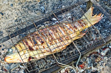 İştah açıcı balık ızgara hazırlanıyor.