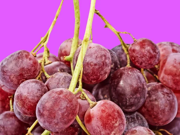 Uva madura sobre rosa . — Foto de Stock