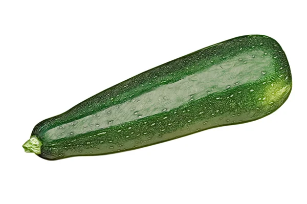 Courgette plantaardige geïsoleerd op witte achtergrond. — Stockfoto