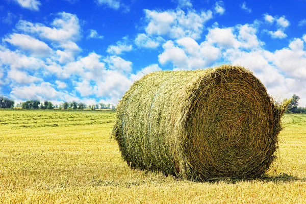 Hay bale op stoppels veld tegen bewolkte hemel. — Stockfoto