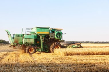 Buğday tarlasında çalışan hasatçıyı birleştirin.