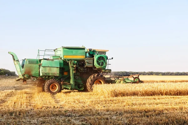 Buğday tarlasında çalışan hasatçıyı birleştirin.