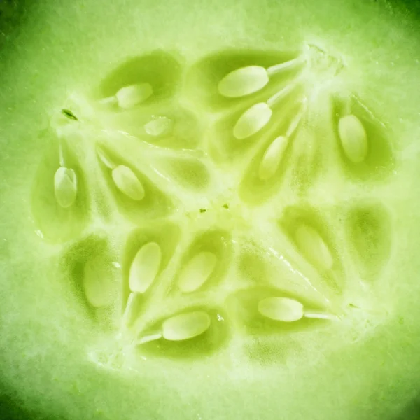 Grüne Gurkenscheibe in Großaufnahme als Hintergrund für Lebensmittel genommen. — Stockfoto