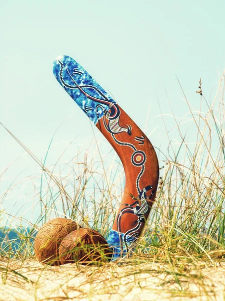 Boomerang et noix de coco sur une dune de sable envahie contre la mer bleue — Photo