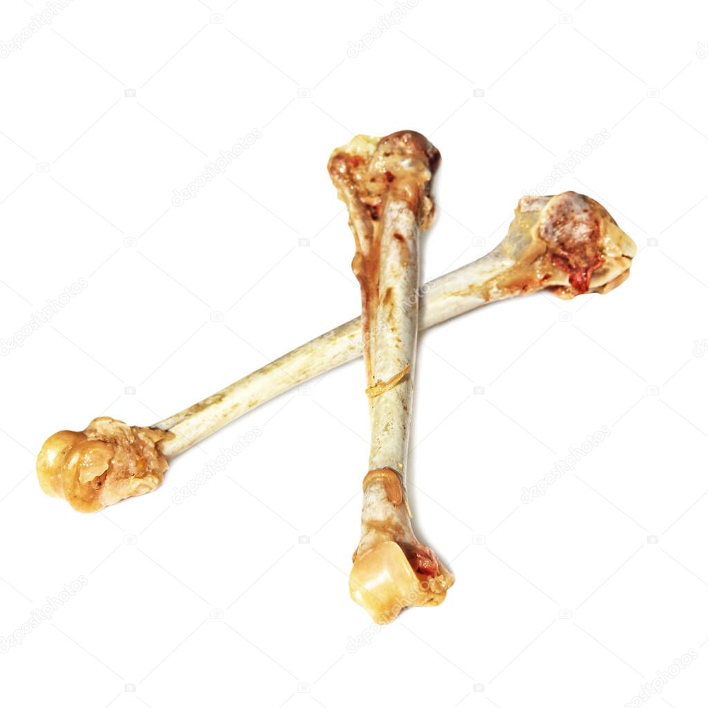 Poverty concept.Two crossed picked chicken bones isolated on white background with shadow.