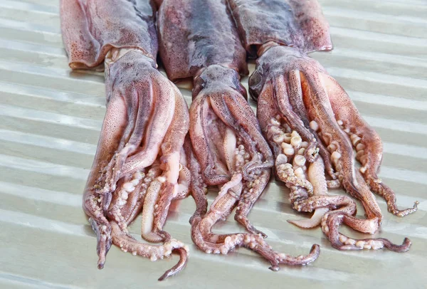 Raw Squids Tentacles Metal Kitchen Table Taken Closeup — Stock Photo, Image