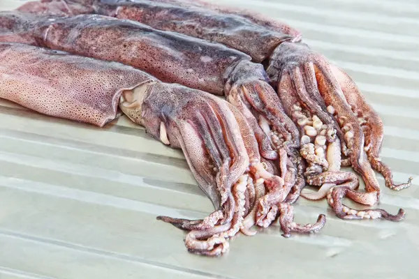 Gruppo Calamari Crudi Con Tentacoli Sul Tavolo Cucina Metallo — Foto Stock