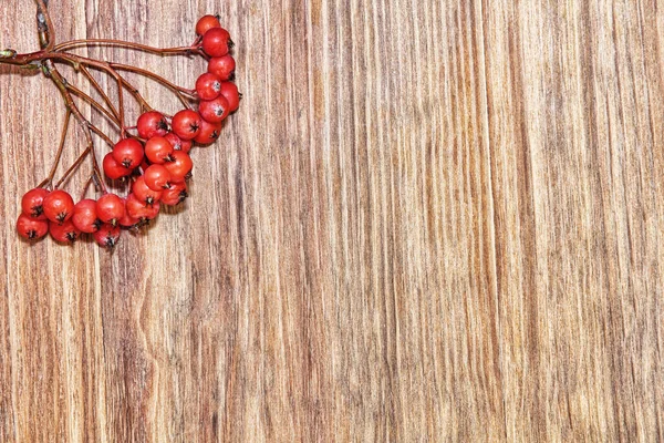 Autumn Red Berries Cluster Grunge Wooden Background Top View — Stock Photo, Image