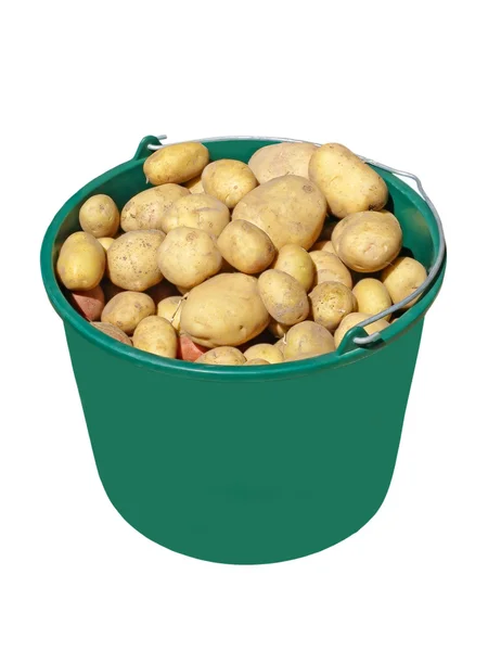 Potatoes in plastic green bucket.Isolated. — Stock Photo, Image