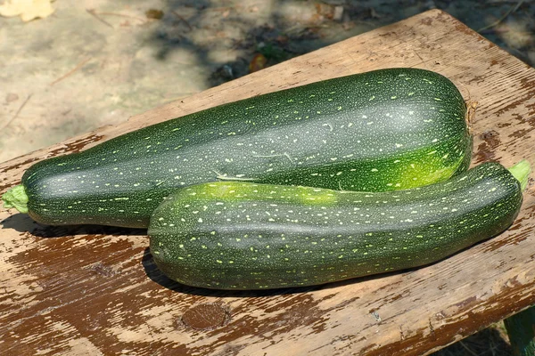 Two zucchini vegetable on wooden surface. — Stock Photo, Image