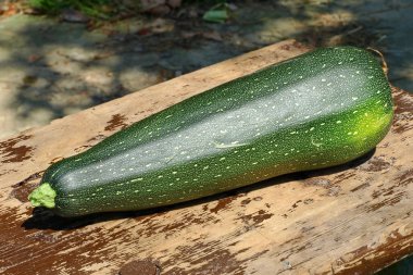 Kabak sebze ahşap yüzey üzerinde.