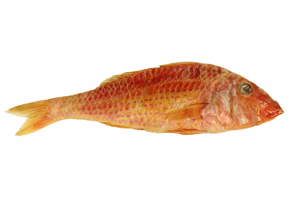 Sušené goatfish.isolated. — Stock fotografie