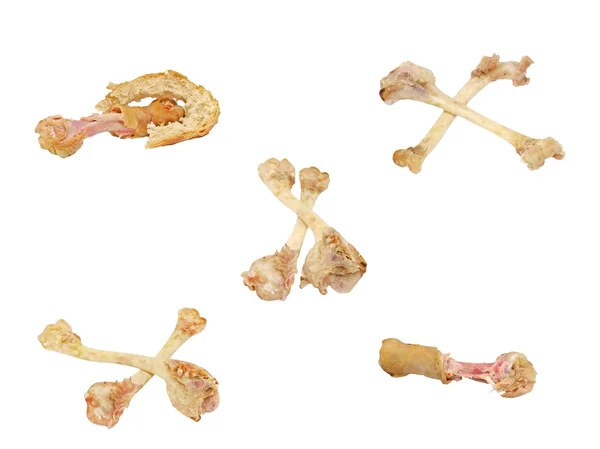 Set of picked bones.Isolated. — Stock Photo, Image