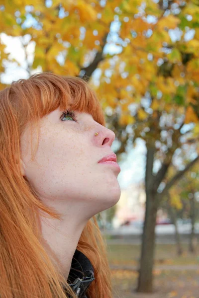 Dreamy red hair girl face with freckles against red autumn folia — Stock Photo, Image