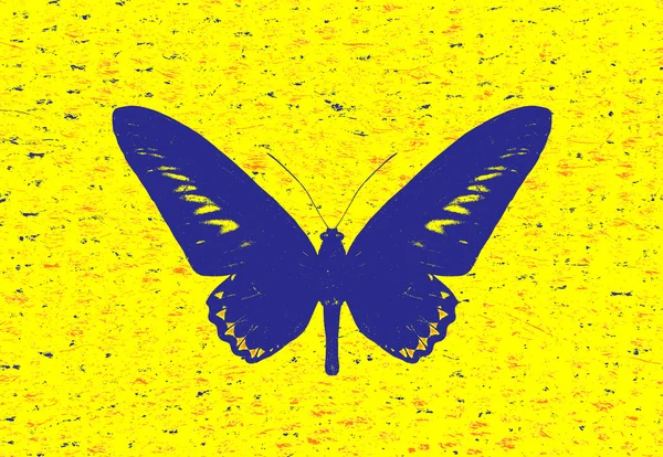 Blå fjäril på gul bakgrund. — Stockfoto