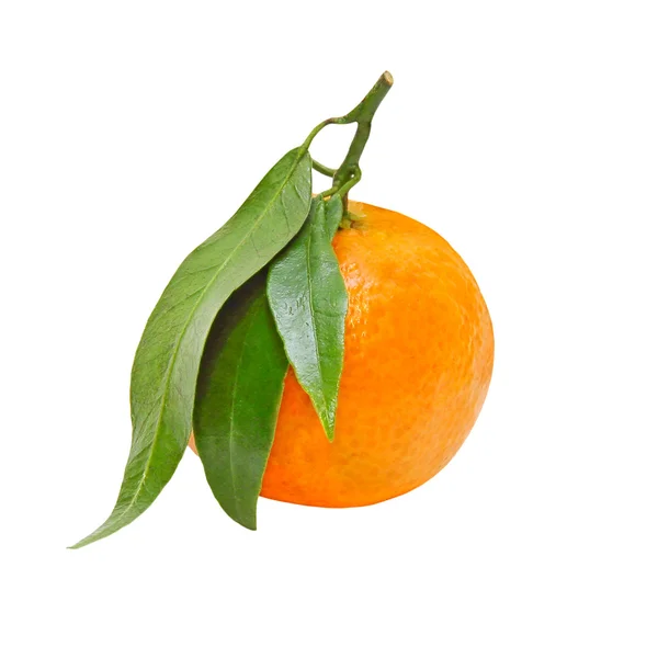 Frische Mandarine mit drei grünen Blättern. Isoliert. — Stockfoto