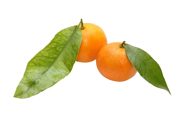 Two fresh tangerine with green leafes.Isolated. — Stock Photo, Image