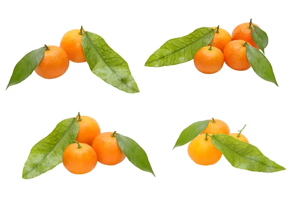 Reihe von reifen Mandarinen und grünen Blättern.. — Stockfoto