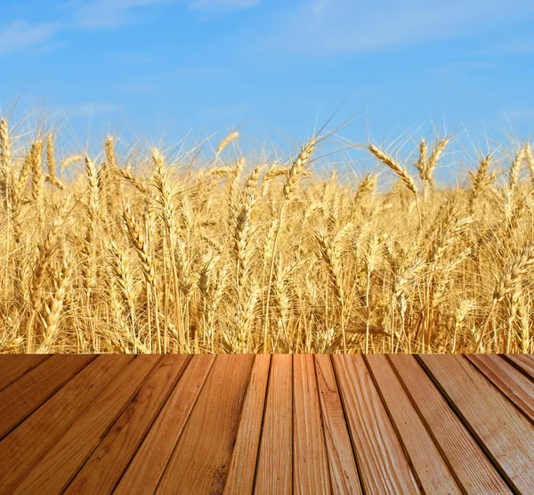 Brown timber surfase against wheat ears and blue sky — Stock Photo, Image