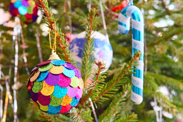 Bola de Natal multicolorido e cana-de-santa no ramo de pinho . — Fotografia de Stock