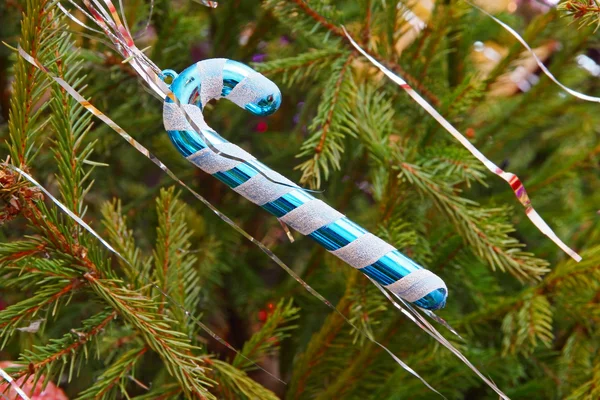 Traditional Santa cane on green spruce branch. — Stock Photo, Image