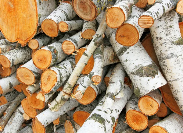Stapel van witte logs. — Stockfoto