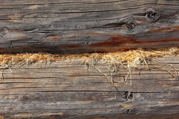 Vecchio muro di tronco preso primo piano . — Foto Stock