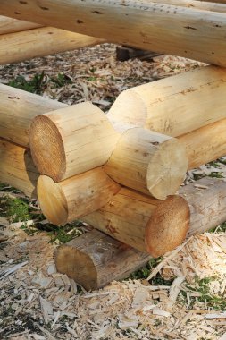 Loghouse inşaat süreci örneği.